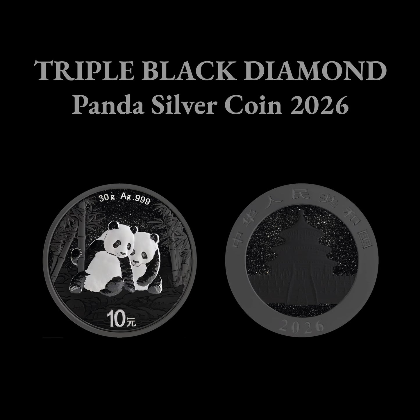 2026 China Panda Triple Black Diamond Edition 30g Silver Coin