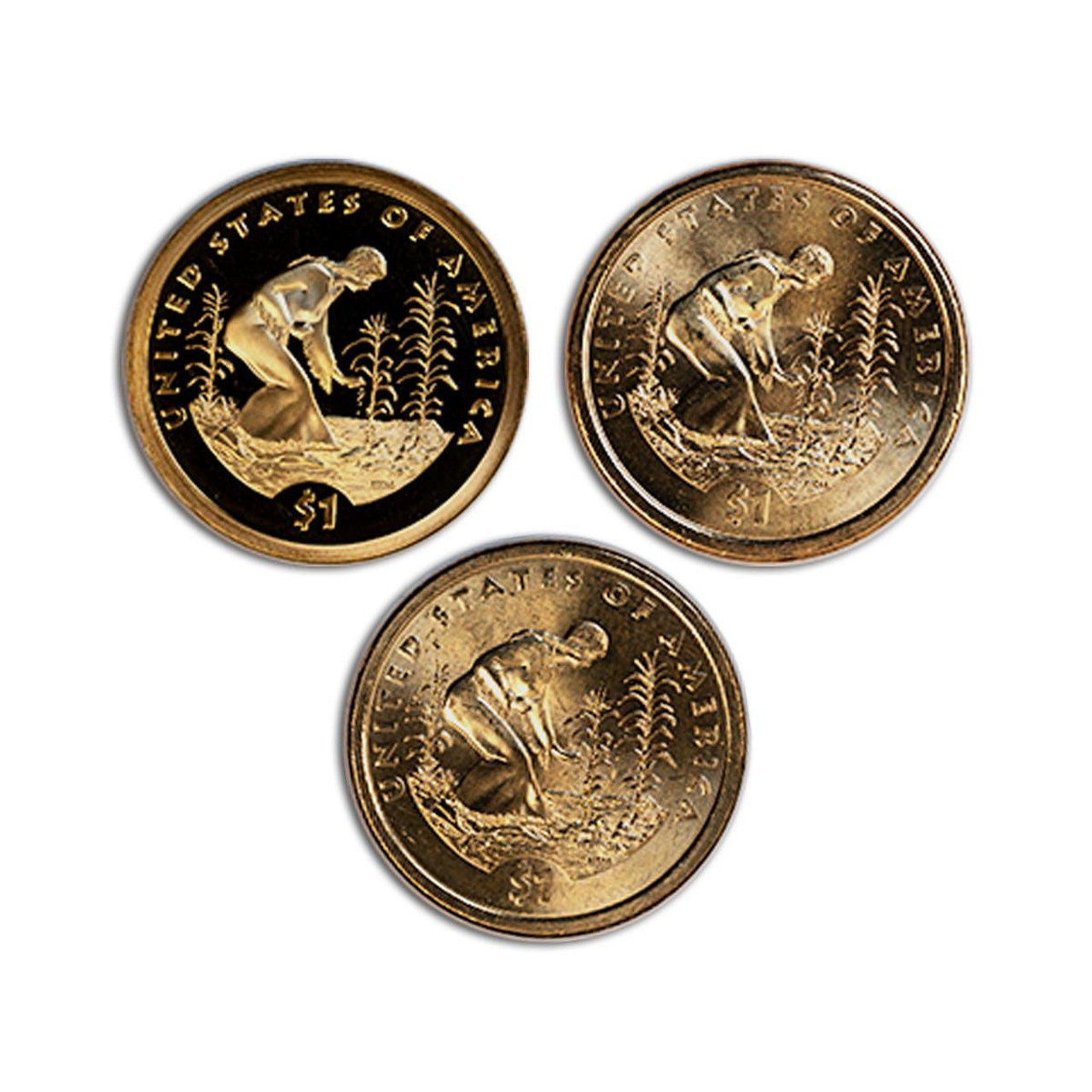 2009 Native American Dollar Sacagawea Coin P D S Three Coin Set - CoinsTV