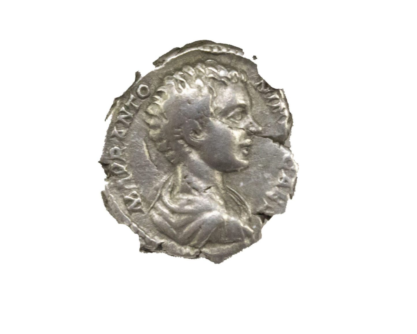 Ancient Roman Silver - Denarius of Caracalla AD 198-217 - NGC F - CoinsTV