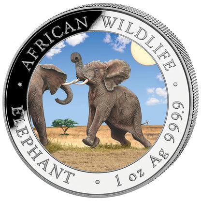 2024 Somalia Elephant Day & Night - 2 x 1 oz Silver Coin Set - CoinsTV