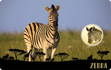 Gabon African Zebra 1/1000 oz Gold Coin in Card - CoinsTV