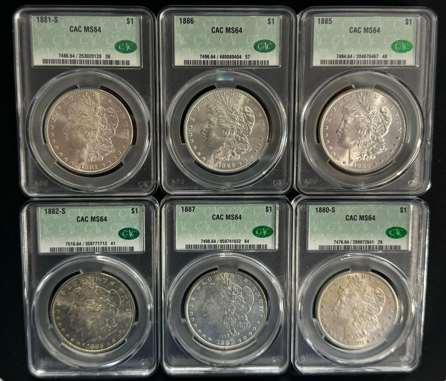 Morgan Silver Dollar Grab Bag CAC MS64