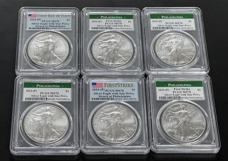 2024 (P) Silver Eagle Star Privy - PCGS MS70 Grab Bag