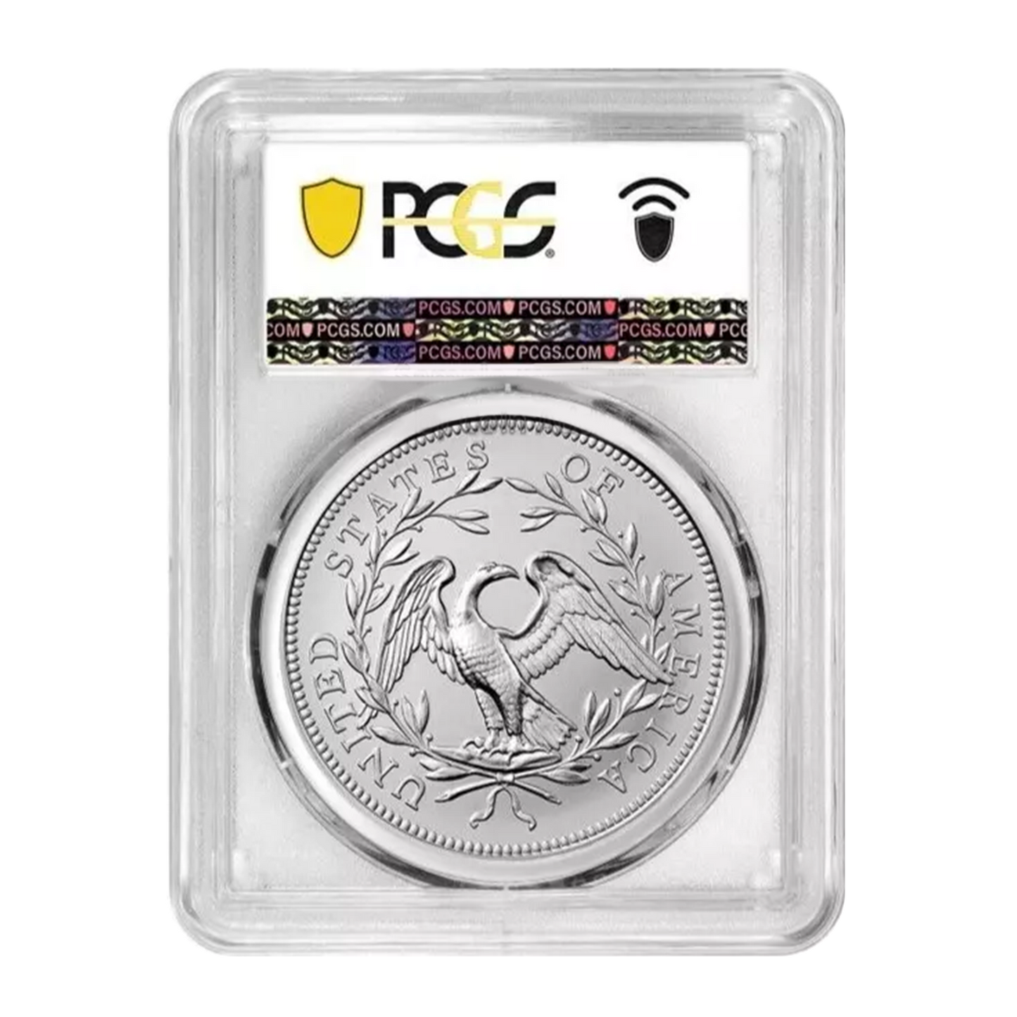 2024 230th Anniversary Flowing Hair Silver Medal - PCGS MS69 FDI - CoinsTV