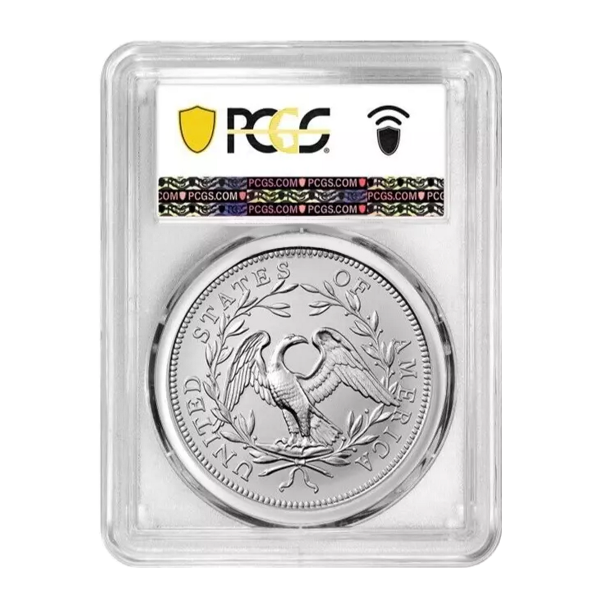 2024 230th Anniversary Flowing Hair Silver Medal - PCGS MS69 FDI - CoinsTV