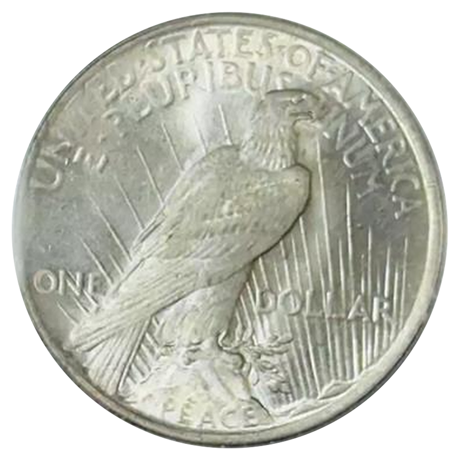 1922 Peace Silver Dollar - VAM 5B TDR Wing Break -  PCGS MS63 - CoinsTV