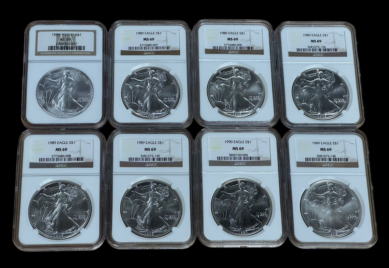 Silver Eagle Older Dates MS69 Grab Bag - CoinsTV