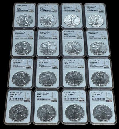 2024-W Burnished Silver Eagle NGC MS69 Brown Label - CoinsTV