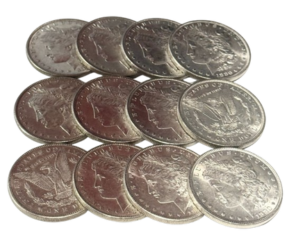 1880 Morgan Silver Dollar Philadelphia - Brilliant Uncirculated - CoinsTV