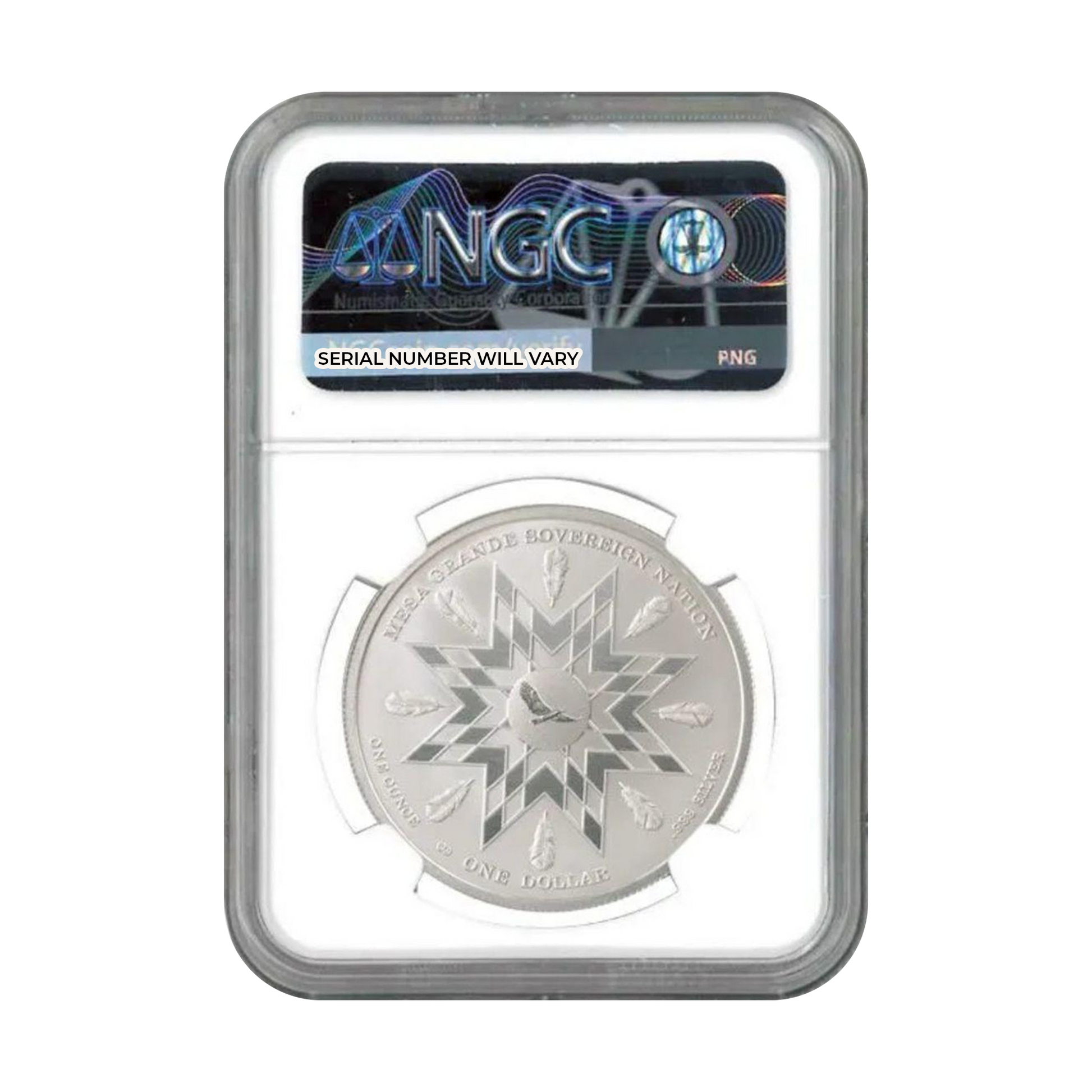2025 American Plains Bison 1 oz Silver Mesa Grande - Free Spirits Label - NGC MS70 FR - CoinsTV