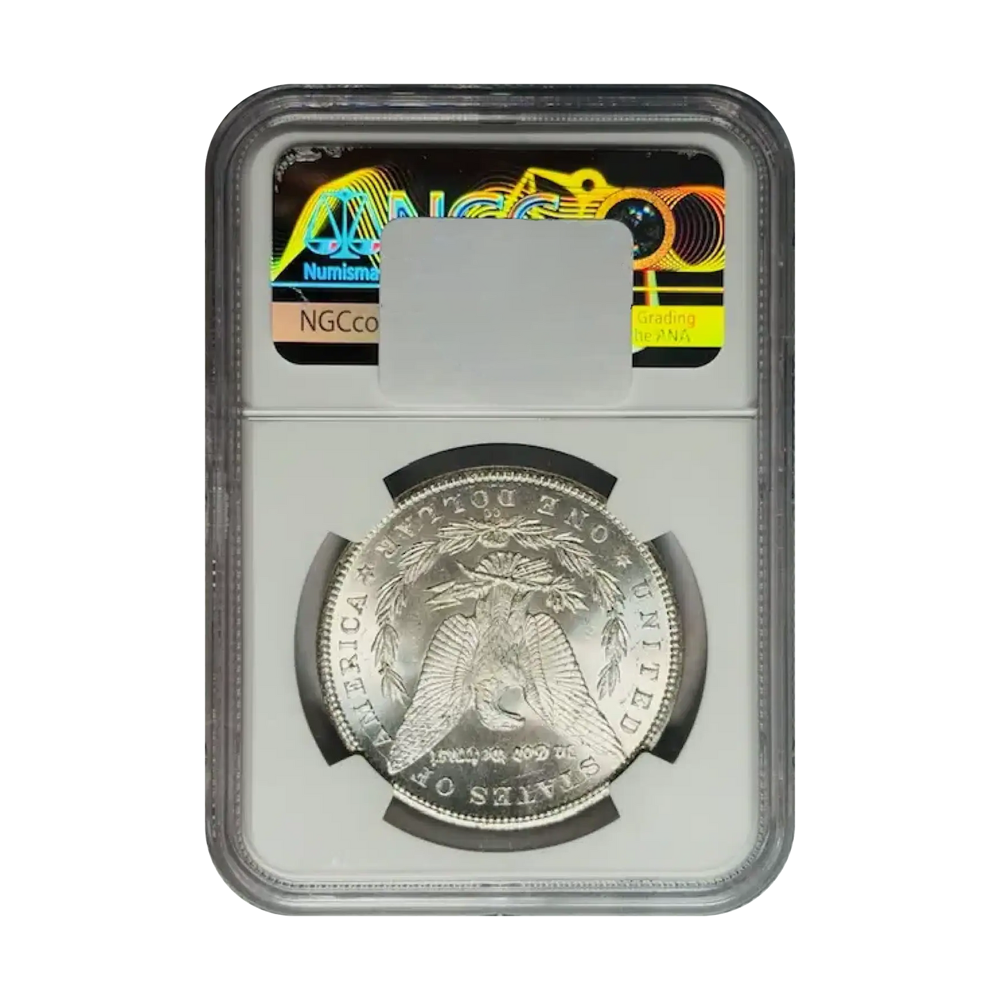 1884-CC Morgan Silver Dollar Carson City - NGC MS65+ Sight White