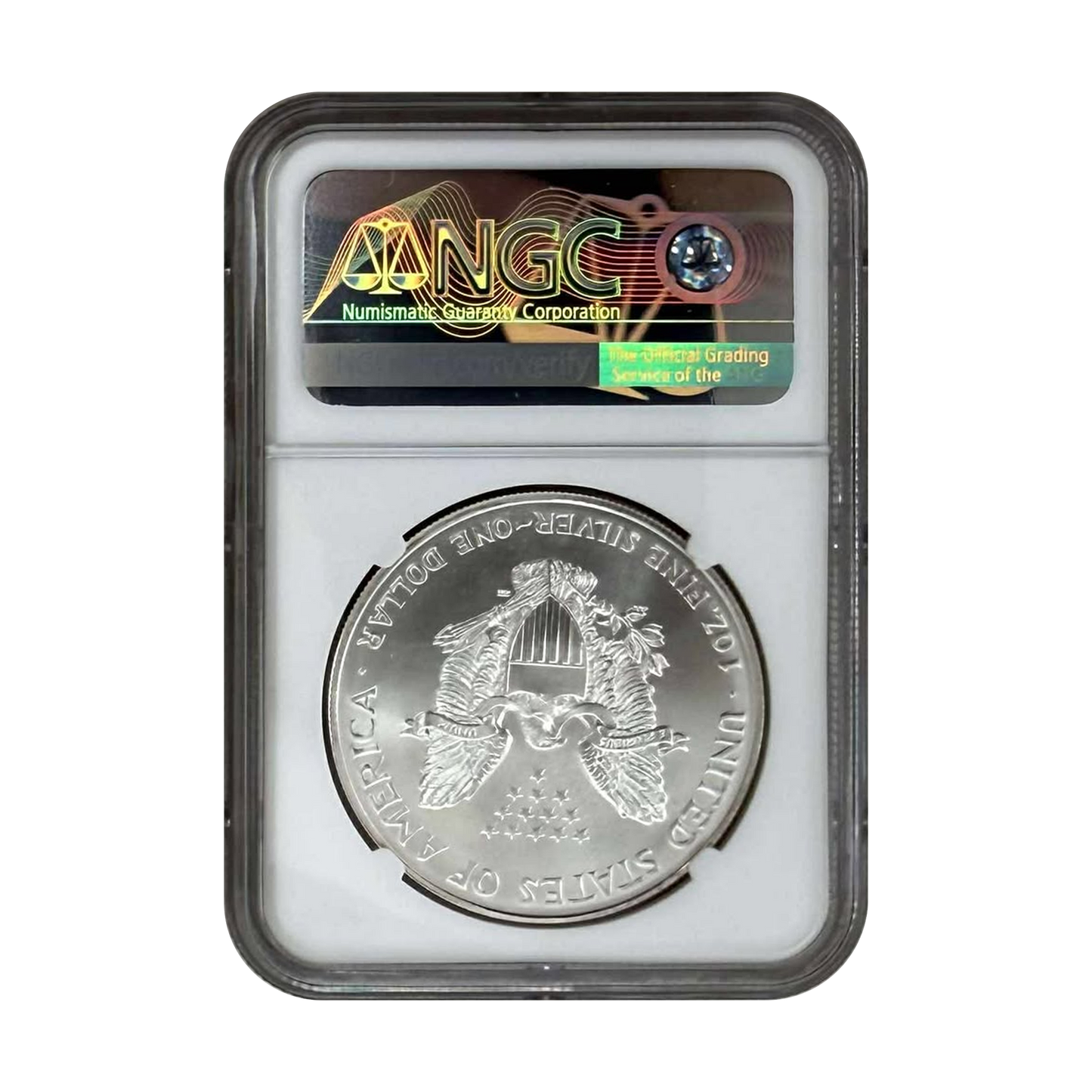 1996 Silver Eagle - Business Strike - NGC MS69 Brown Label - CoinsTV