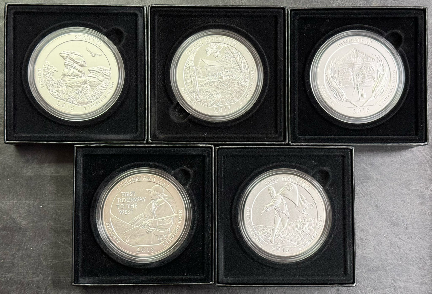 America the Beautiful 5 oz Silver Burnished Grab Bag