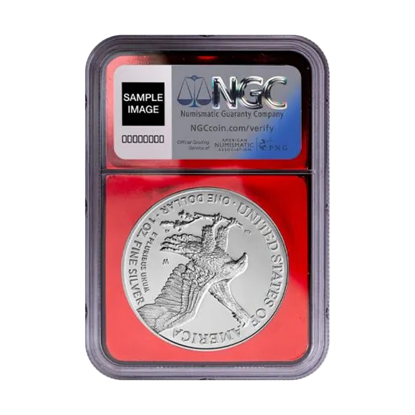 2025-W Burnished Silver Eagle - NGC MS70 Red Core & Eagle Label