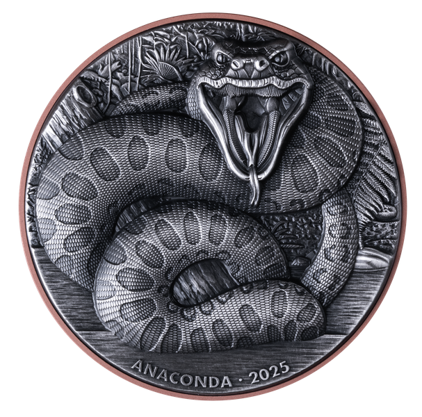 2025 Vanuatu Double Silver Giant Anaconda 10g Silver Coin - CoinsTV