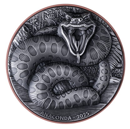 2025 Vanuatu Double Silver Giant Anaconda 10g Silver Coin - CoinsTV
