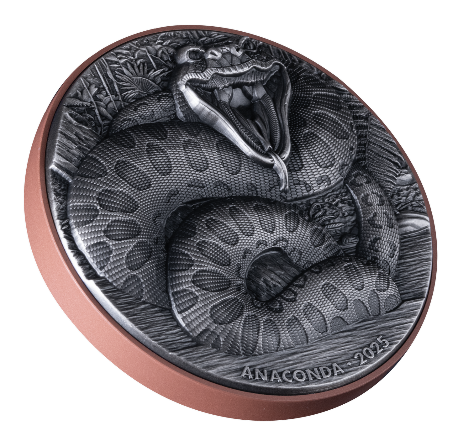 2025 Vanuatu Double Silver Giant Anaconda 10g Silver Coin - CoinsTV