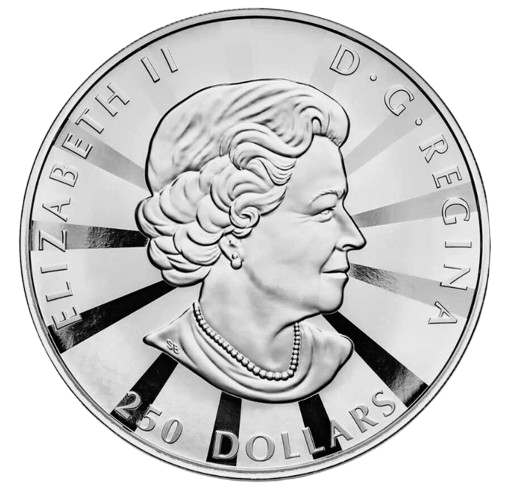 2023 RCM Multifaceted Maples 1 Kilo Silver - CoinsTV