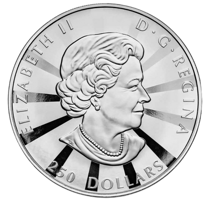 2023 RCM Multifaceted Maples 1 Kilo Silver - CoinsTV