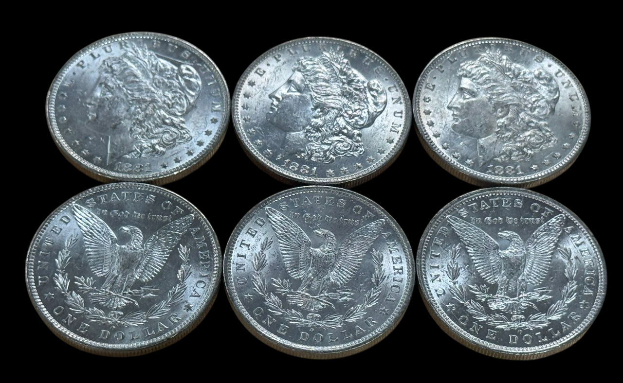 1881 Morgan Silver Dollar New Orleans - Brilliant Uncirculated - CoinsTV