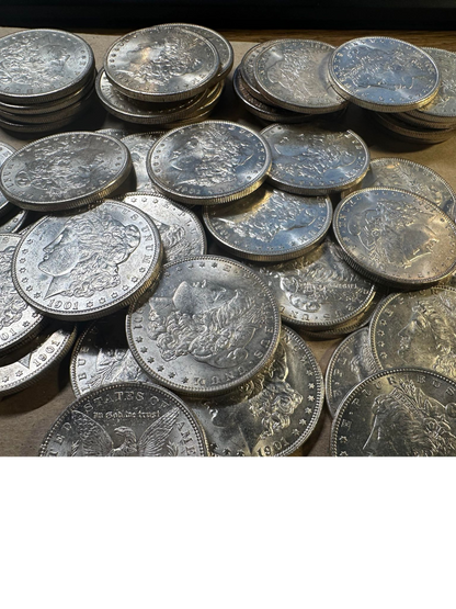 1901 Morgan Silver Dollar New Orleans - Brilliant Uncirculated - CoinsTV