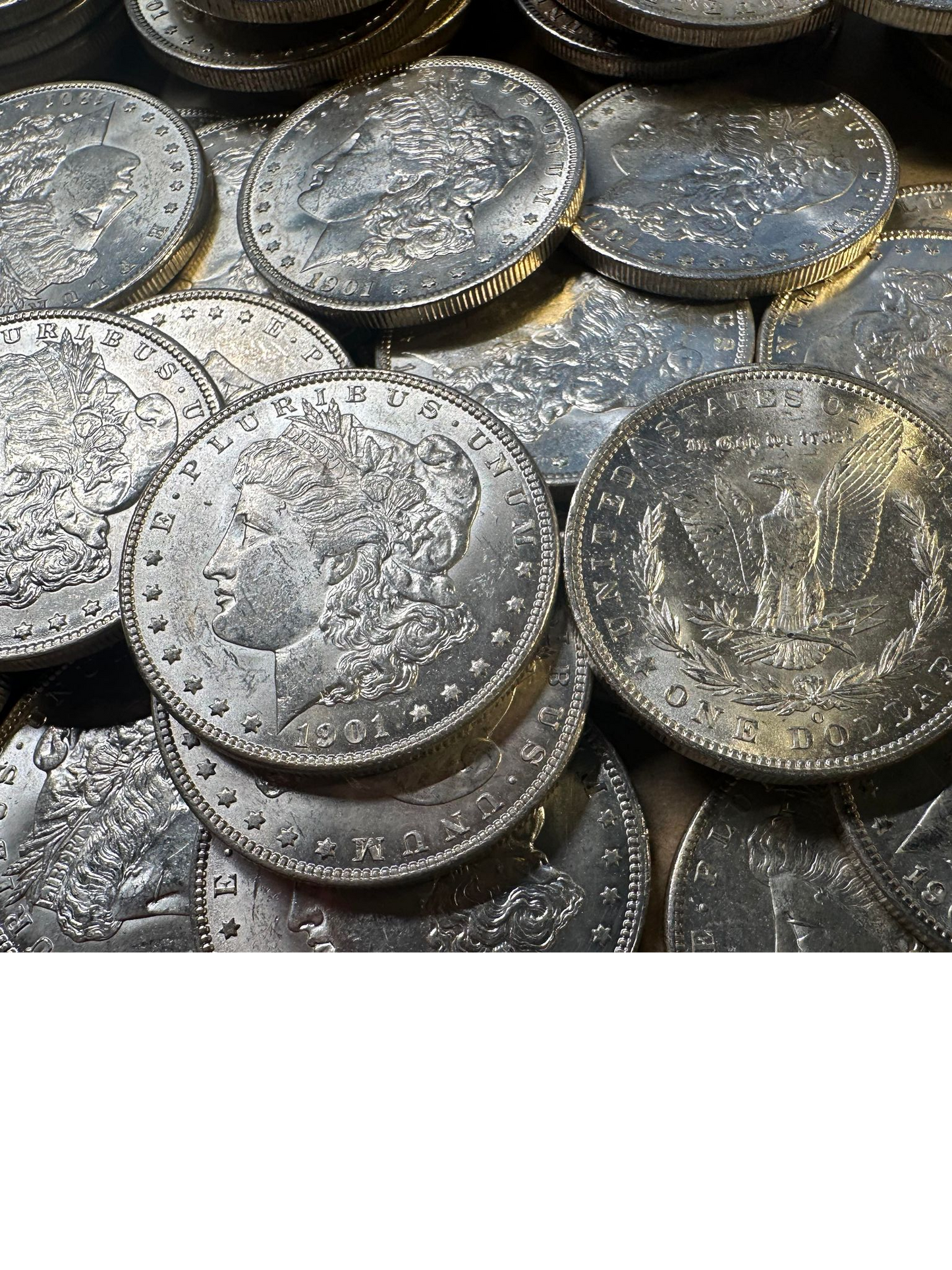 1901 Morgan Silver Dollar New Orleans - Brilliant Uncirculated - CoinsTV