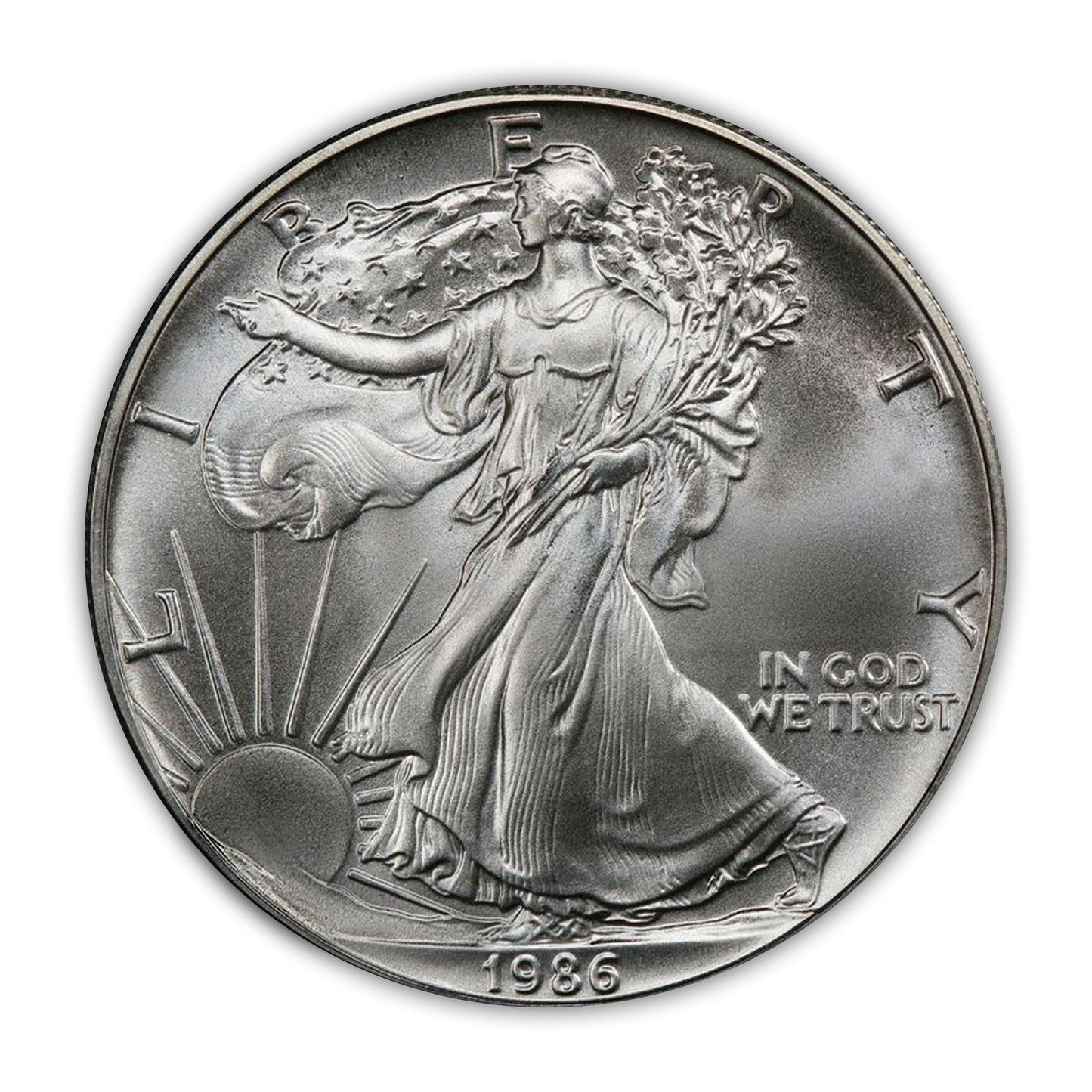 1986 - 2021 Silver Eagle Type 1 35 Coin Uncirculated Set - Premium Collectors Vista Album
