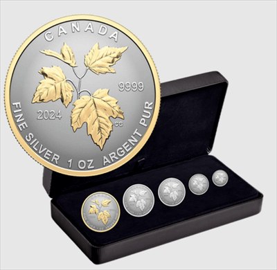 2024 Silver Maple Leaf Canada's Autumn Beauty - 5 pc set - Reverse Proof Fractional Set