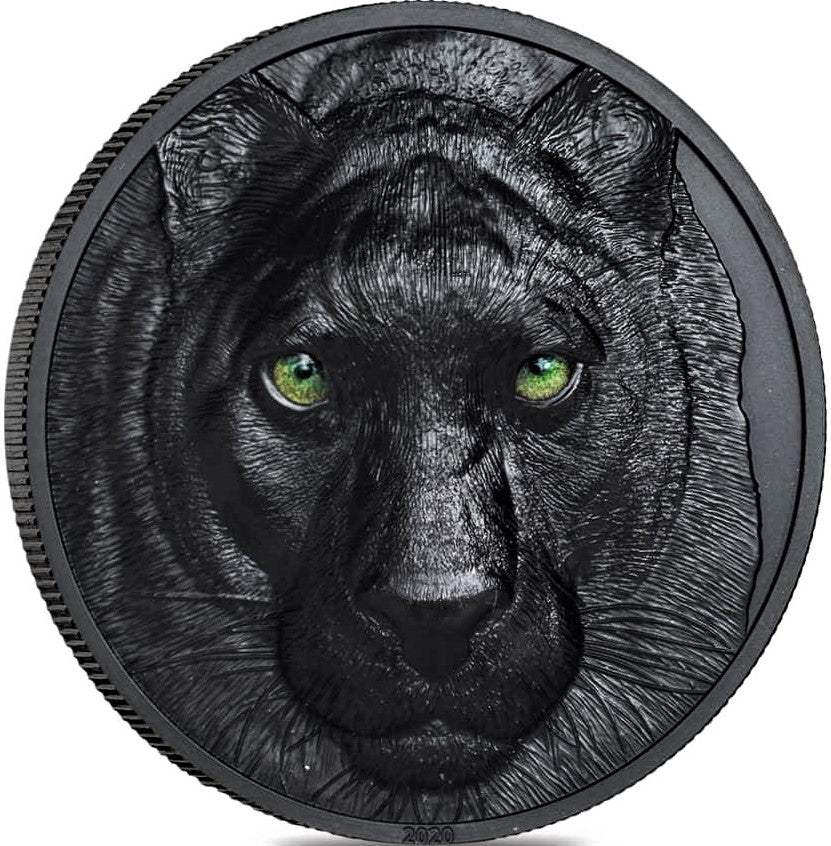 2020 2oz Silver - Hunters By Night Series - Black Panther - Palau Coin - CoinsTV