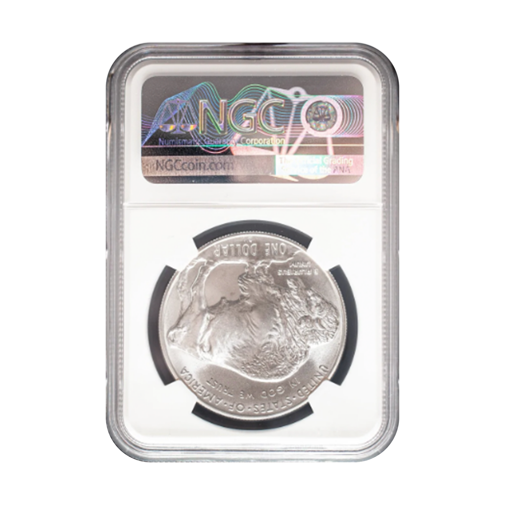 2001 Buffalo Silver Dollar Denver NGC MS69 - CoinsTV