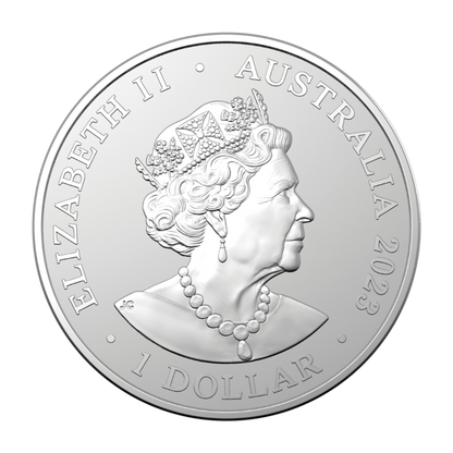 2023 1 oz AC/DC Frosted Silver Uncirculated