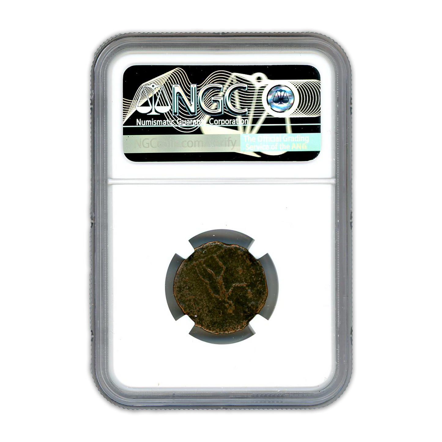 Ancient Roman Bronze Coin - Tacitus- Age of Chaos - NGC Certified - CoinsTV