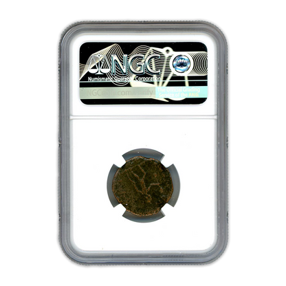 Ancient Roman Bronze Coin - Tacitus- Age of Chaos - NGC Certified - CoinsTV
